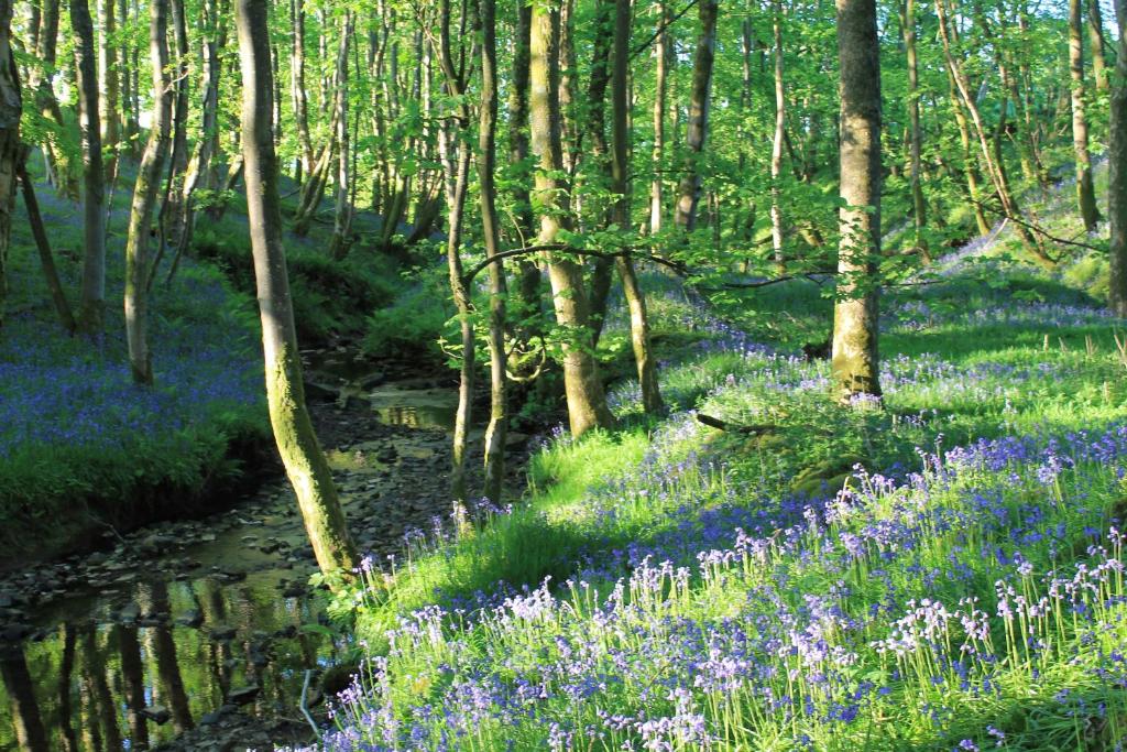 Upper Ballaird Bothy room 1